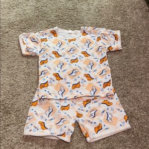 Toddler boy dinosaur set